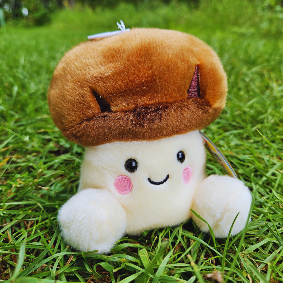 Shitake Mushroom Palm Pal