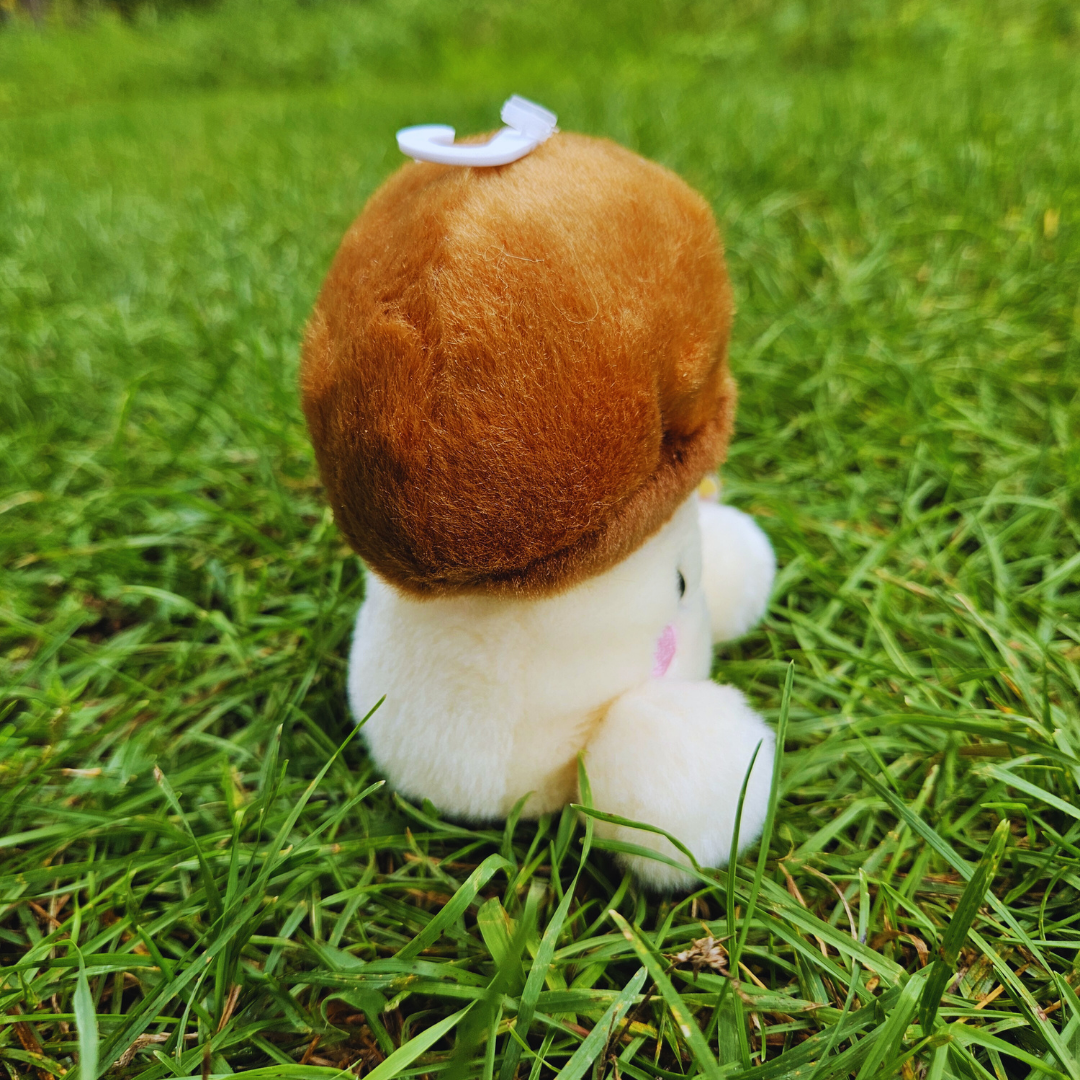 Shitake Mushroom Palm Pal