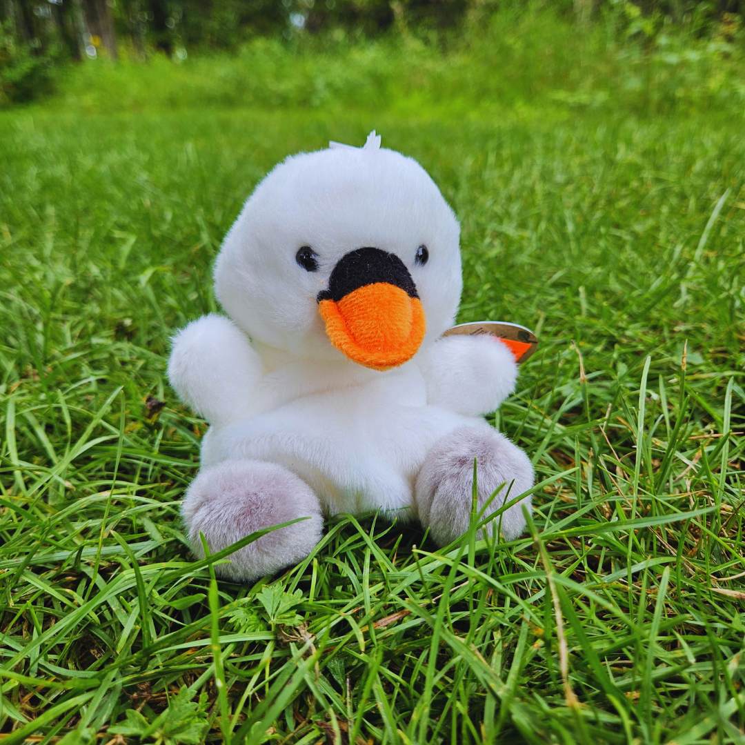 Swan Palm Pal