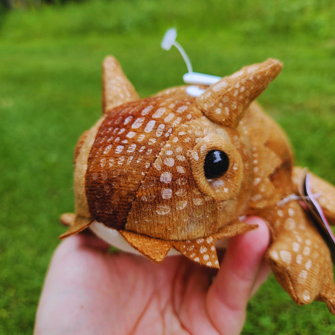 Horned Lizard Stuffed Animal