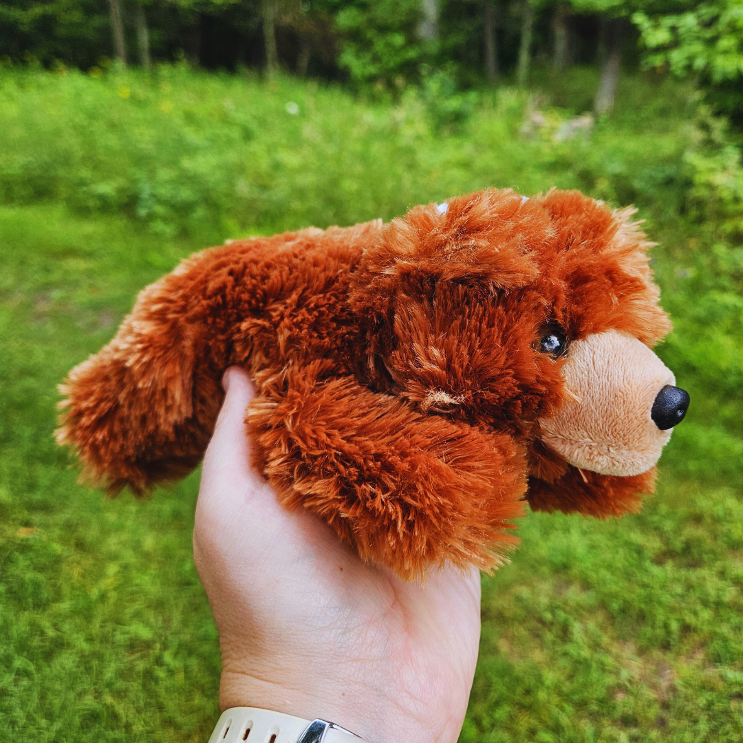 Brown Bear Stuffed Animal