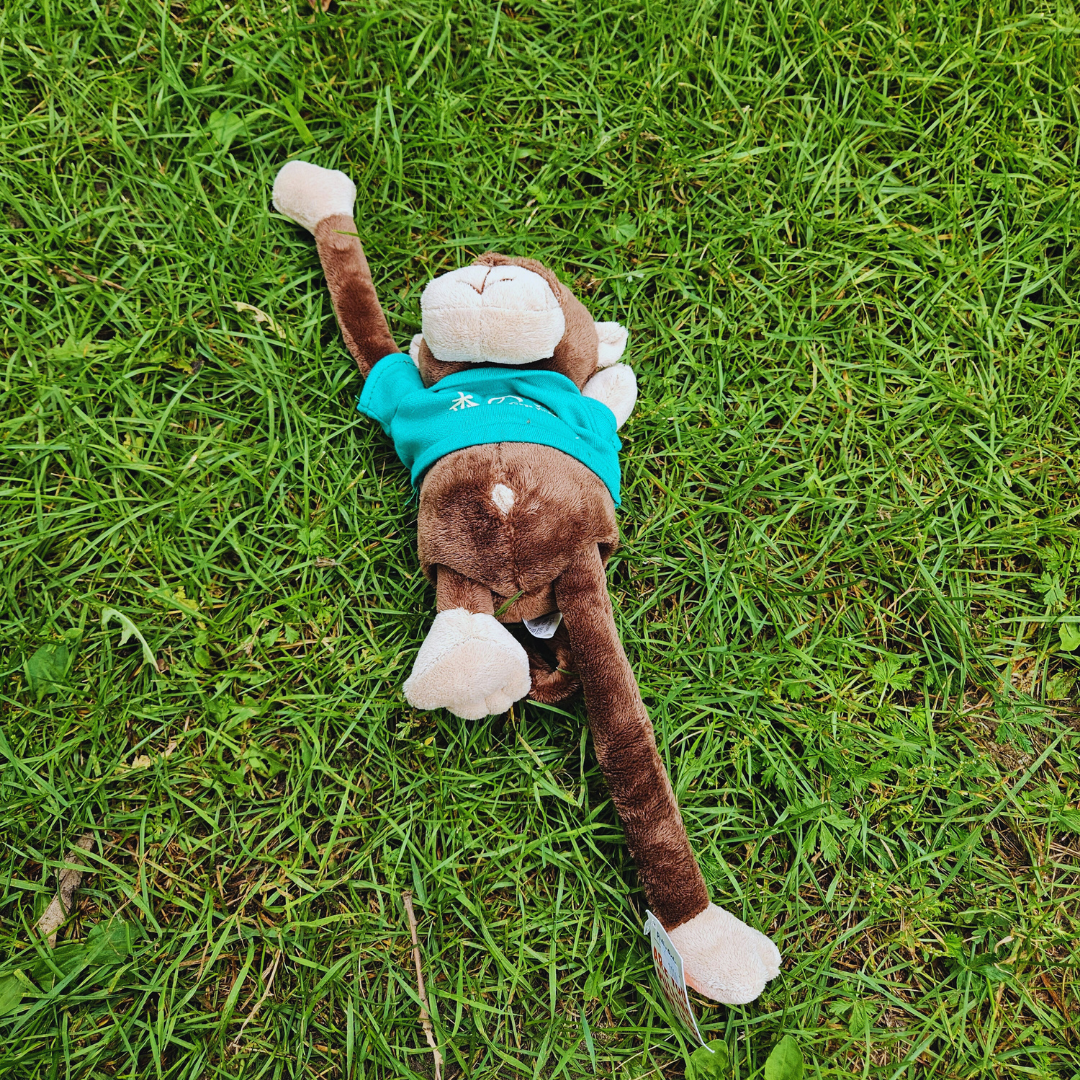 Mori No Ike Monkey Stuffed Animal