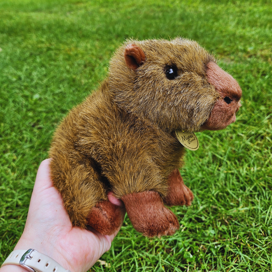 Miyoni Capybara Stuffed Animal