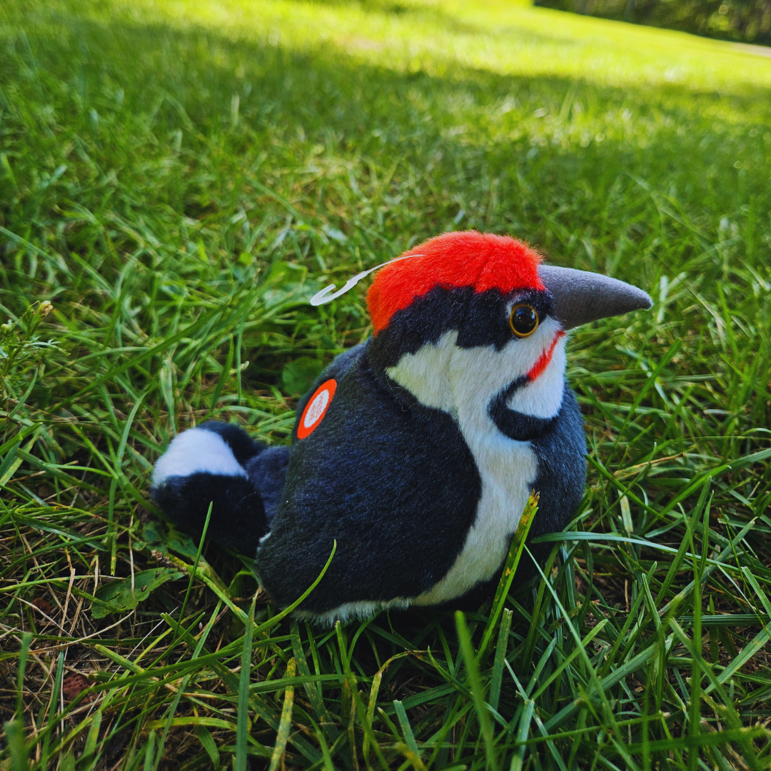 Woodpecker Stuffed Animal