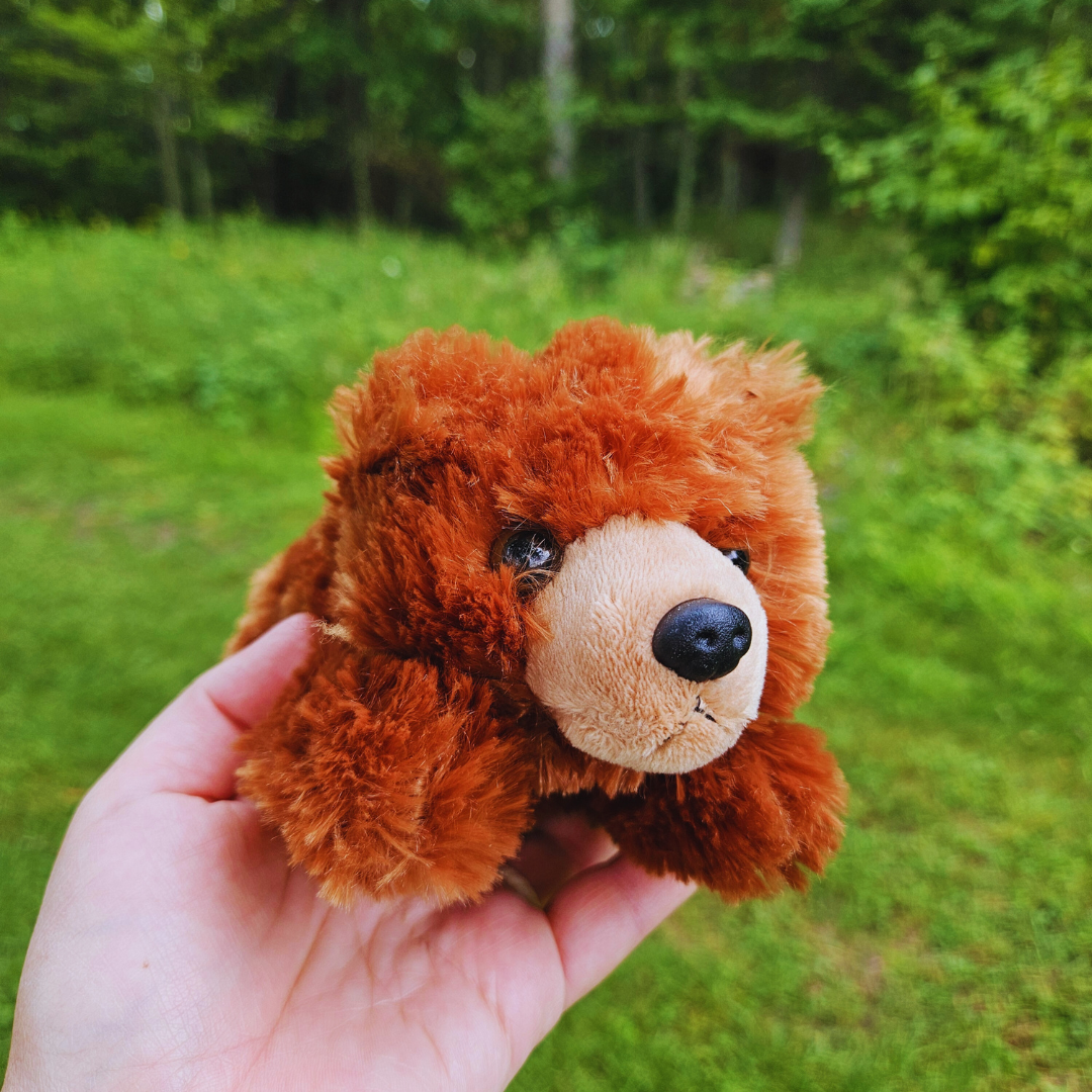 Brown Bear Stuffed Animal