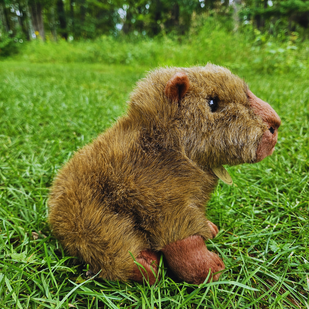 Miyoni Capybara Stuffed Animal