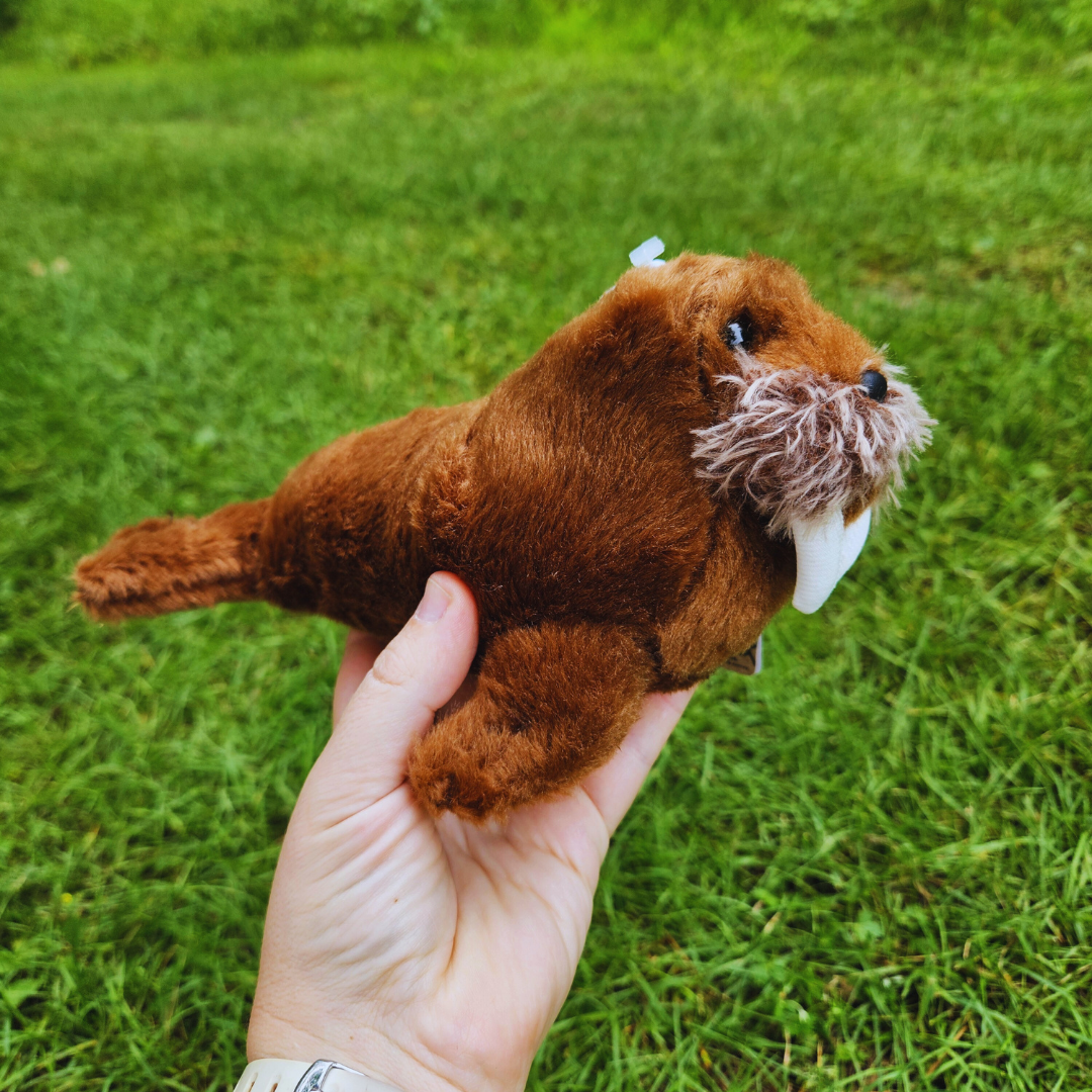 Walrus Stuffed Animal
