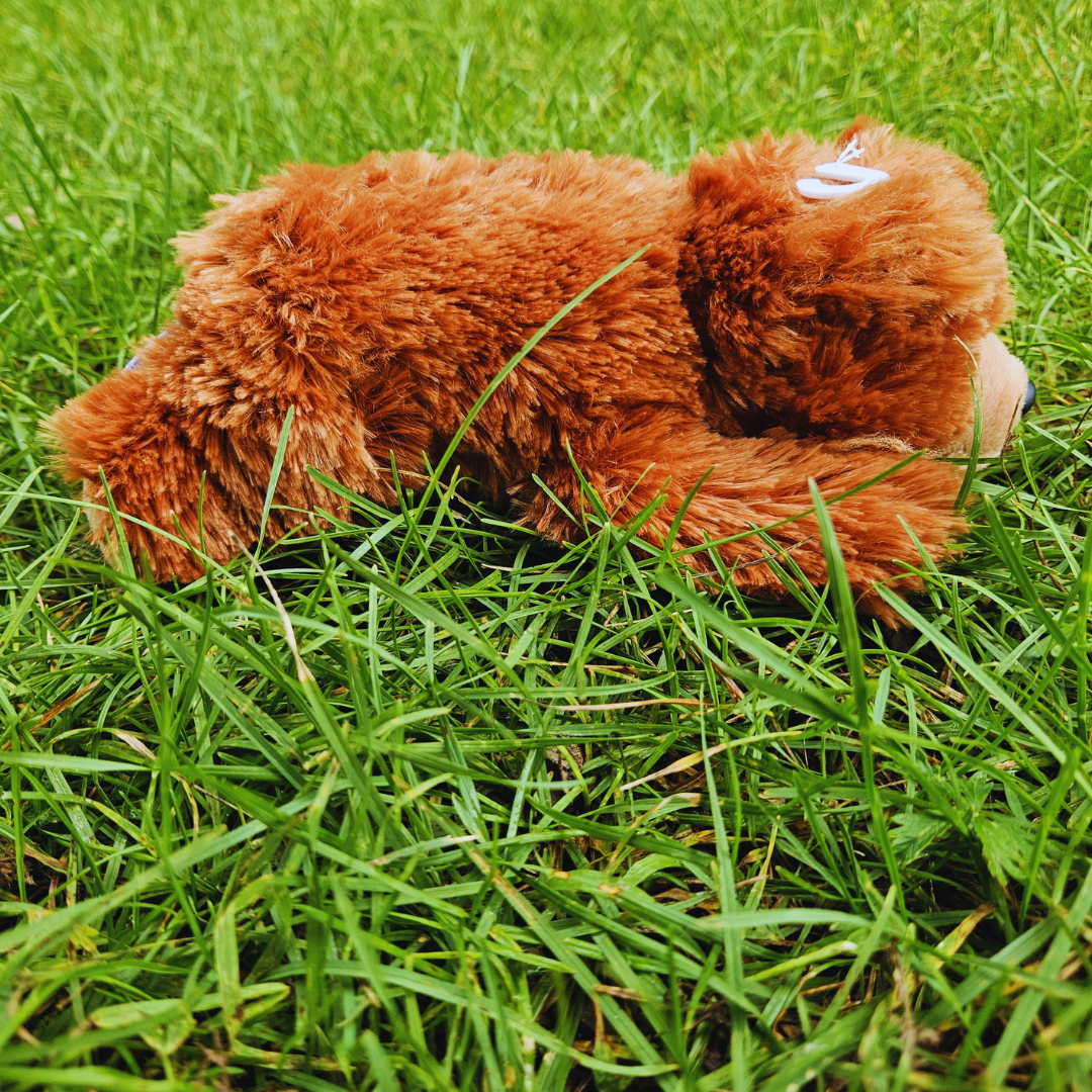 Brown Bear Stuffed Animal