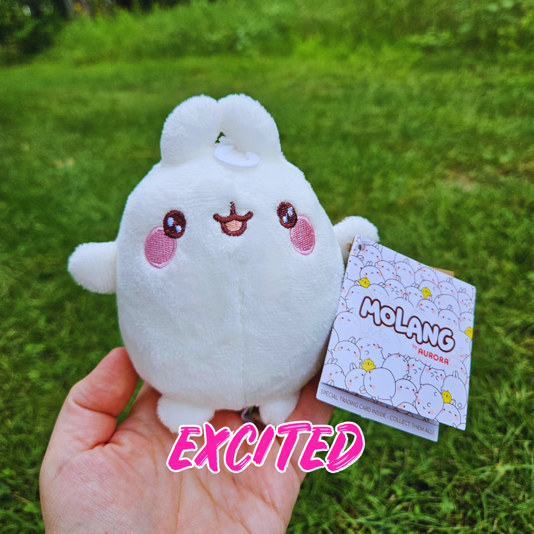 Molang Friends