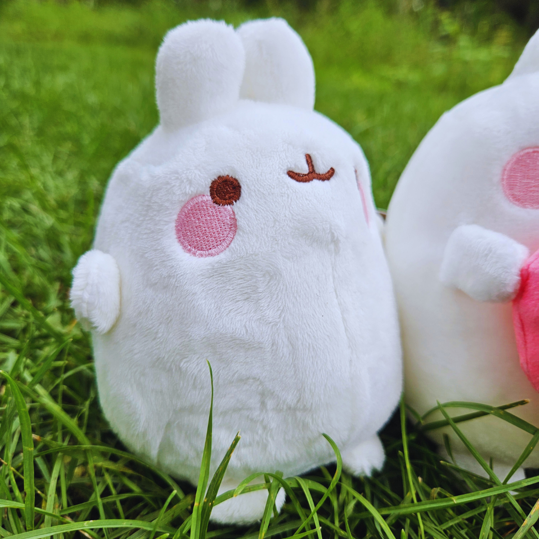 Molang Friends