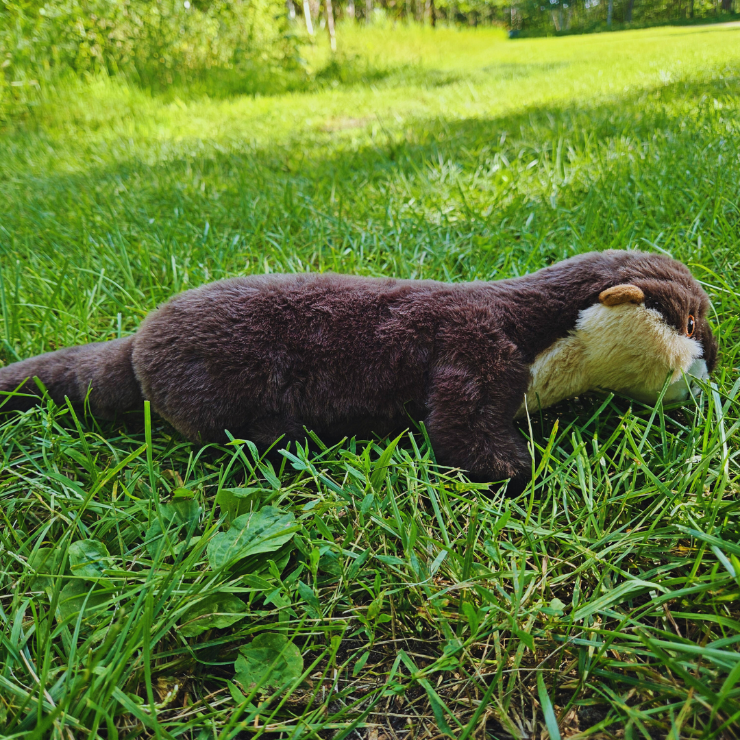 Otter Stuffed Animal