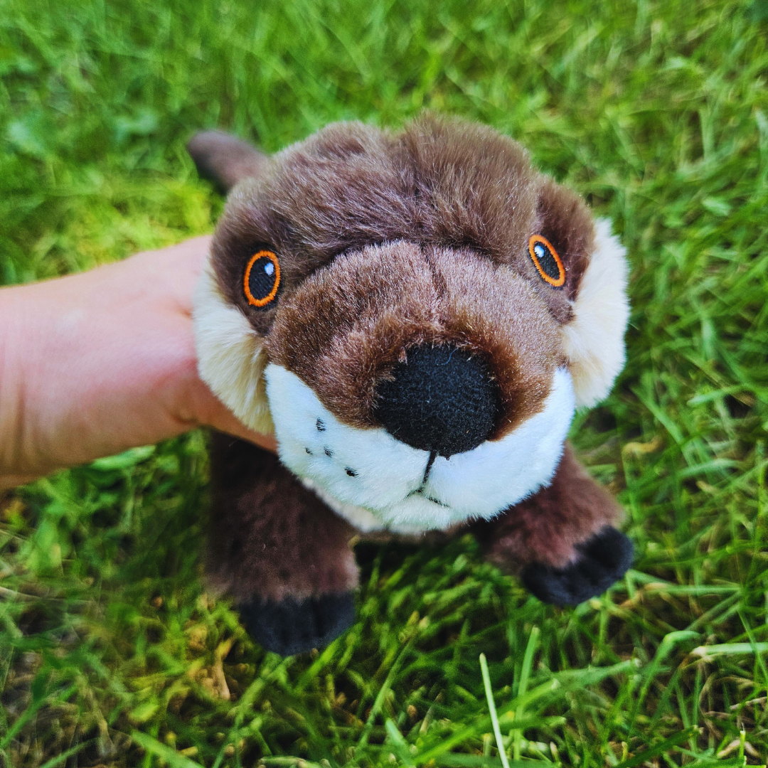Otter Stuffed Animal