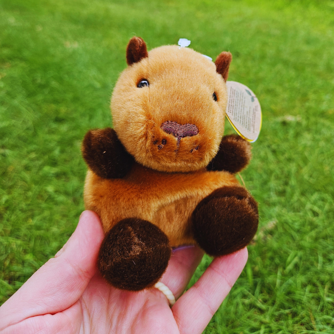 Capybara Palm Pal