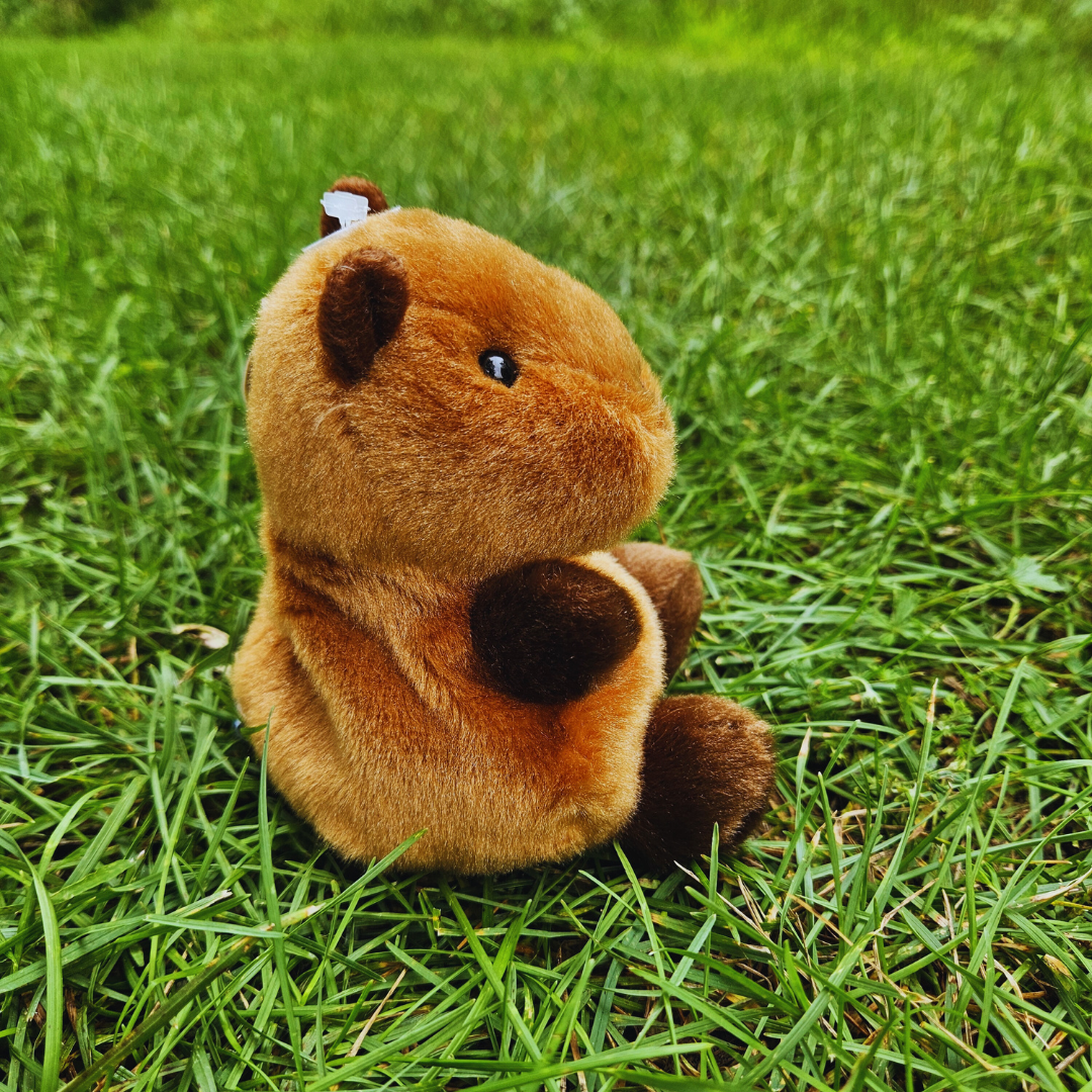 Capybara Palm Pal