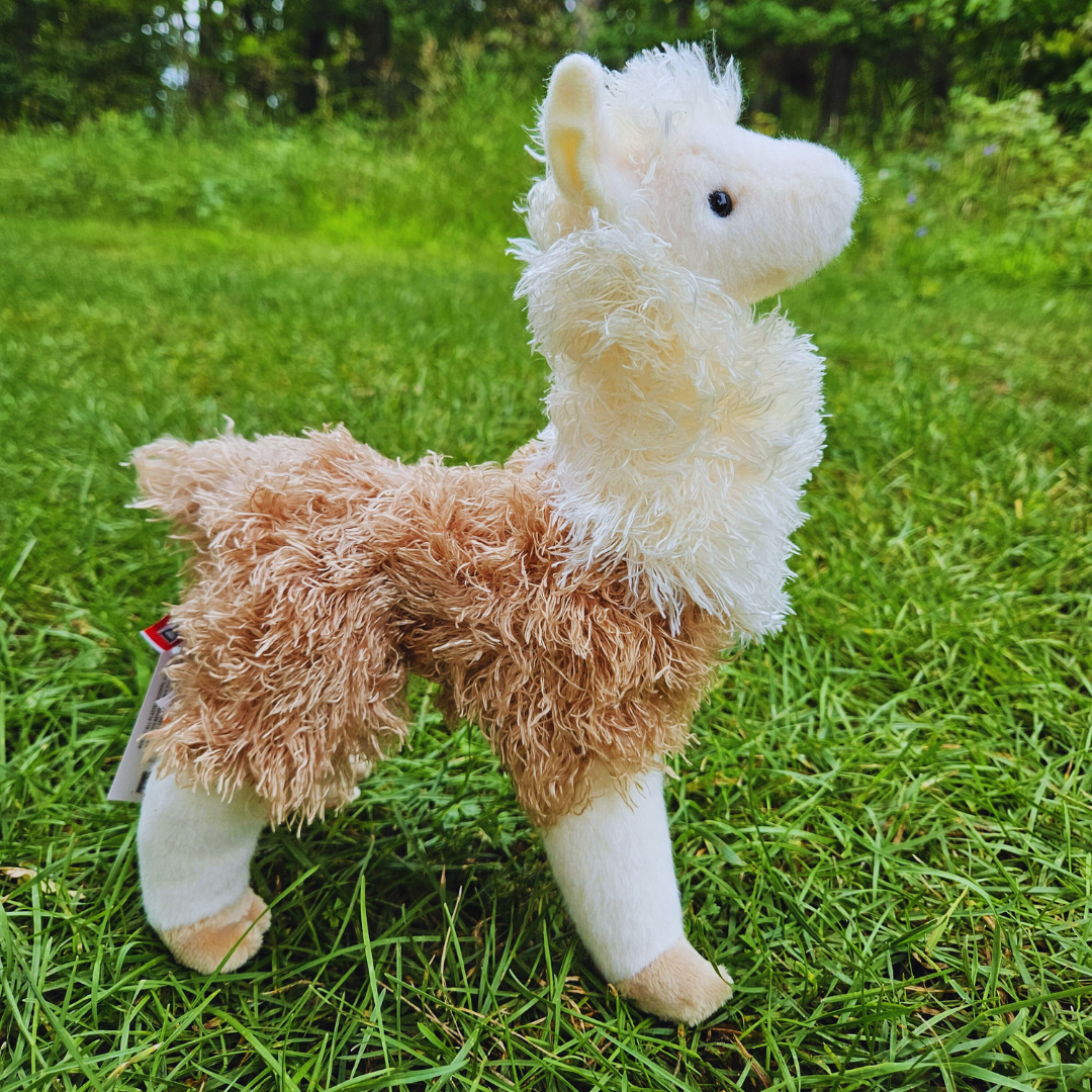 Paddy O'Llama Stuffed Animal