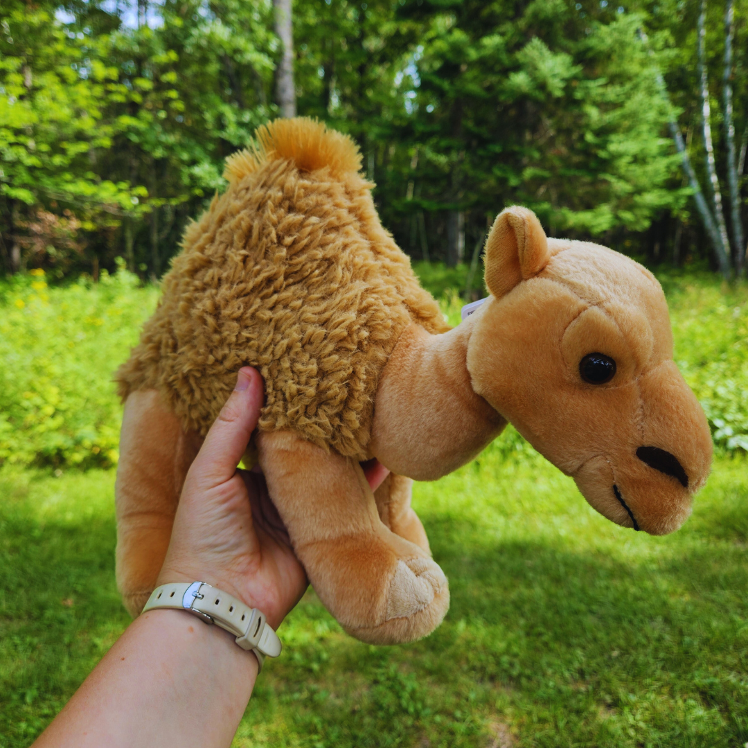 Dromedary Stuffed Animal