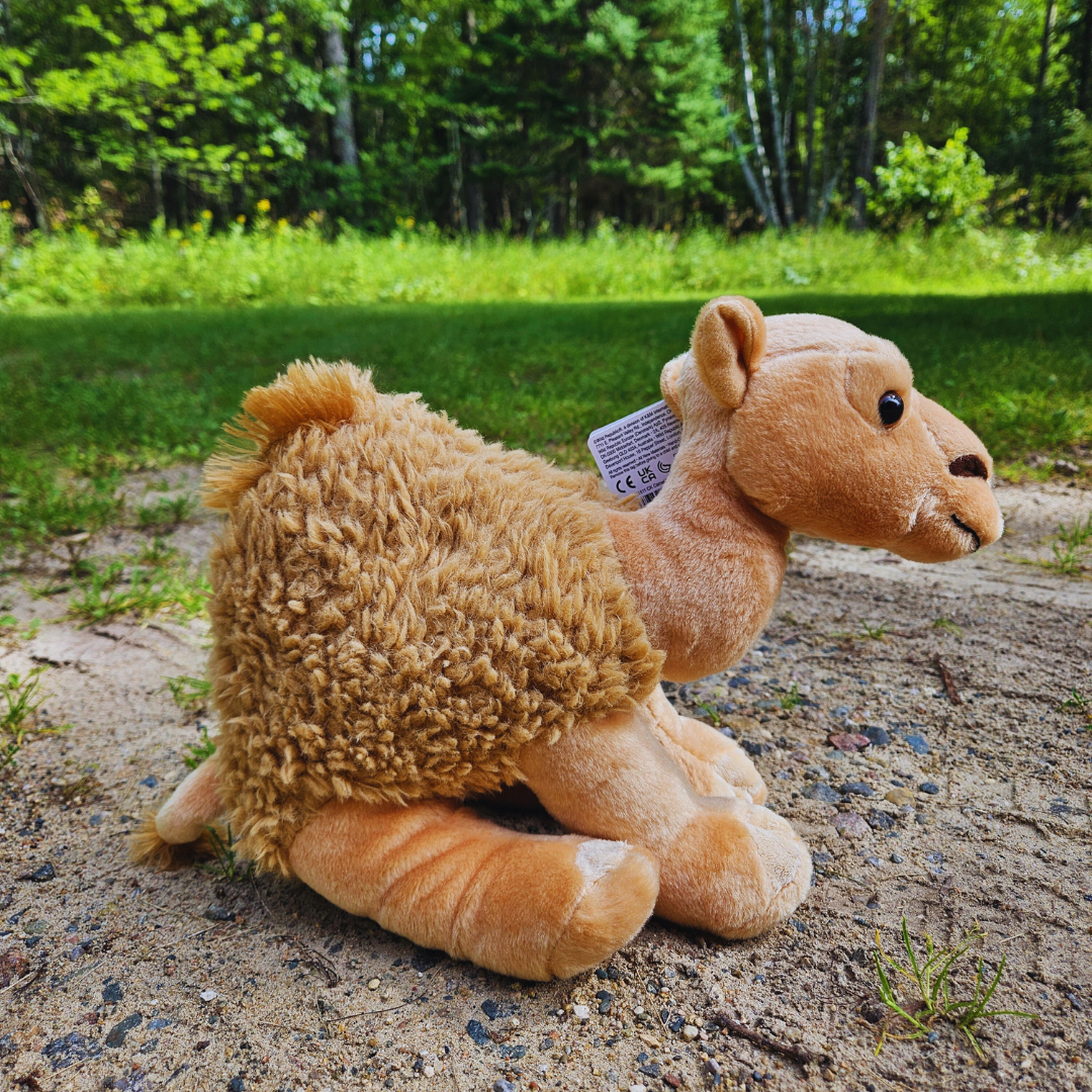 Dromedary Stuffed Animal