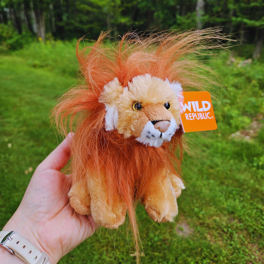 Small Lion Plush