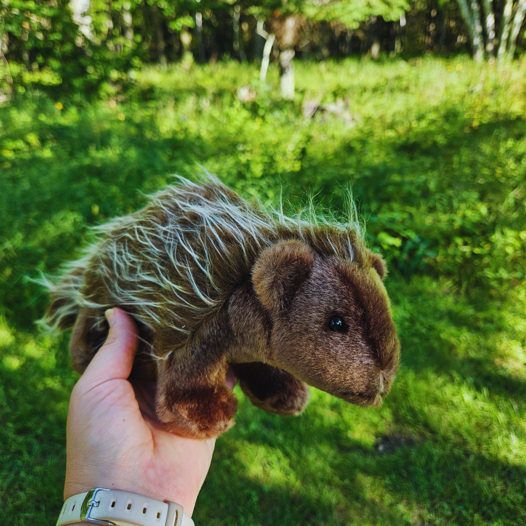 Porcupine Stuffed Animal