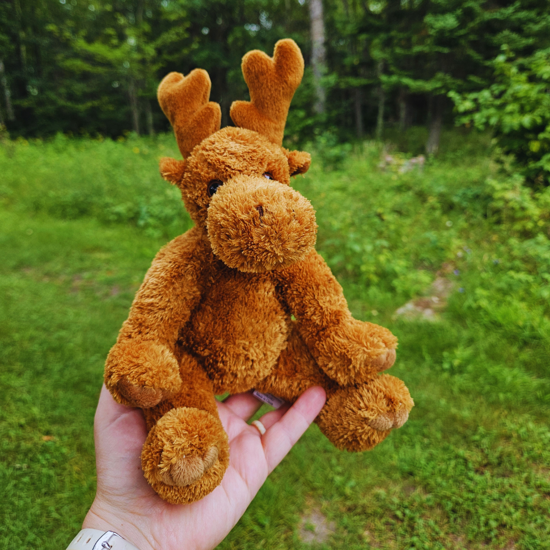 Fuzzy Sitting Moose