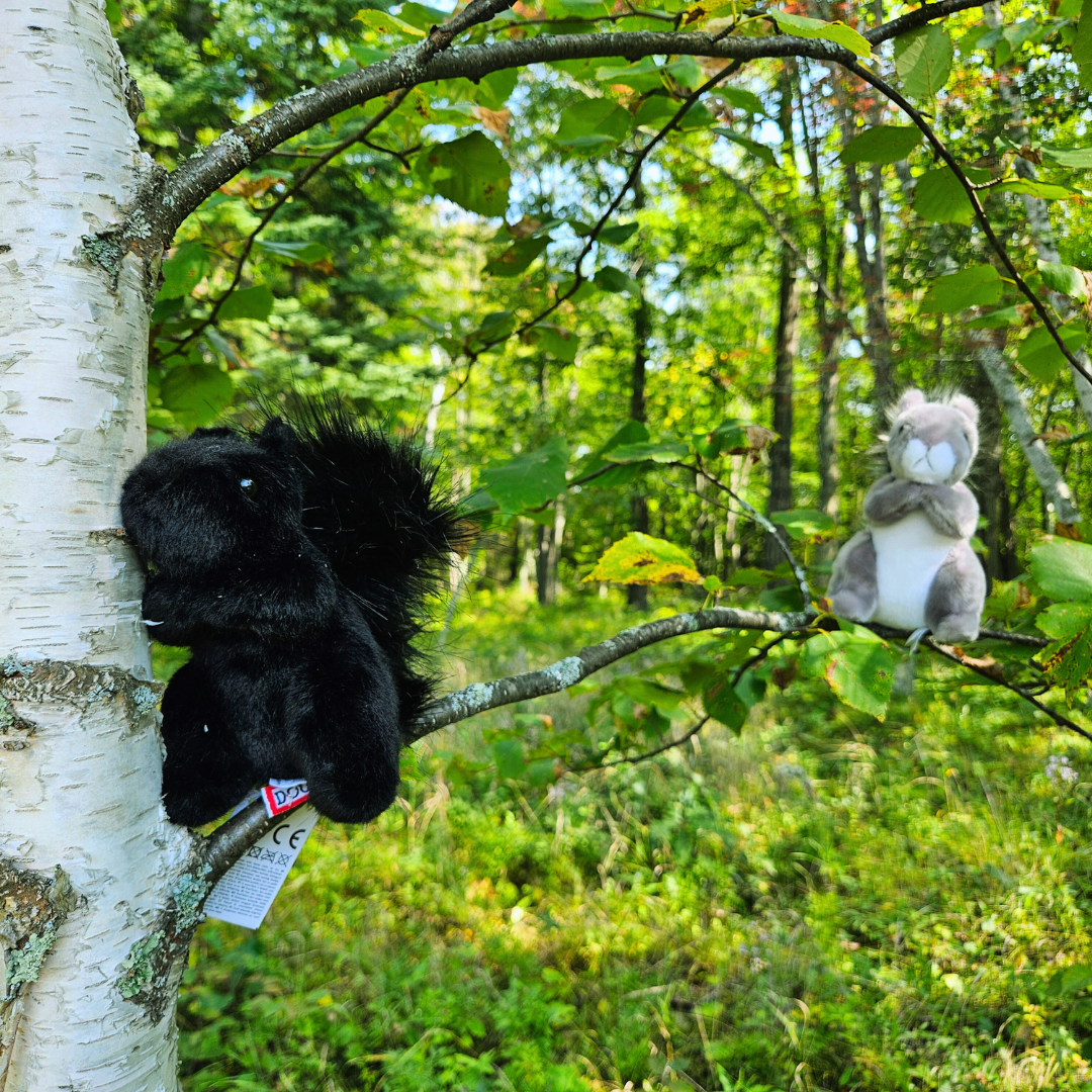 Squirrel Stuffed Animal