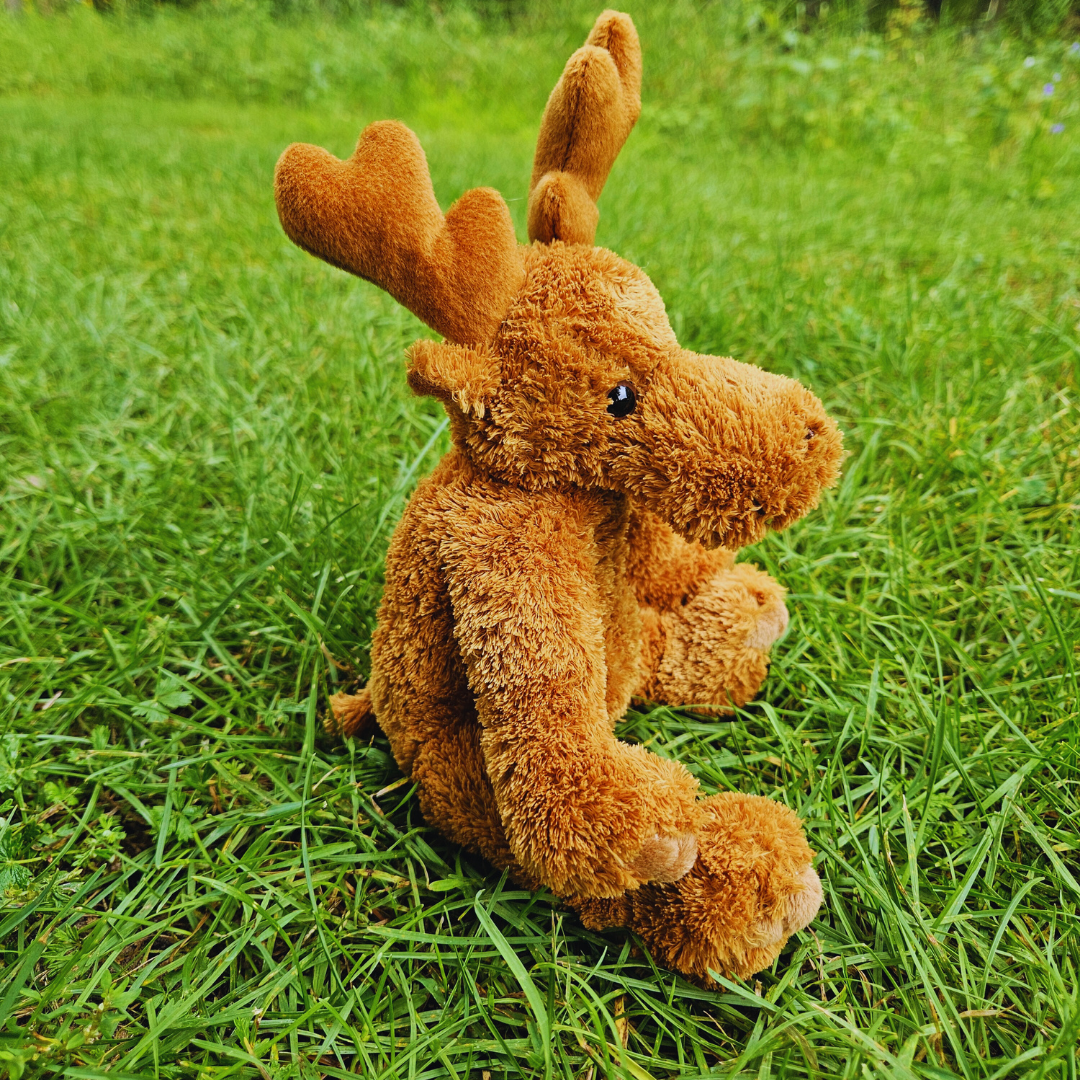 Fuzzy Sitting Moose