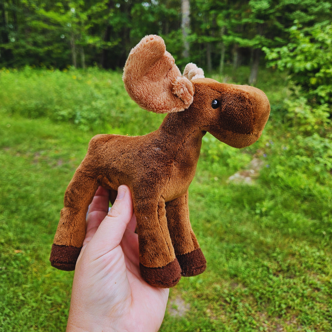 Small Standing Moose