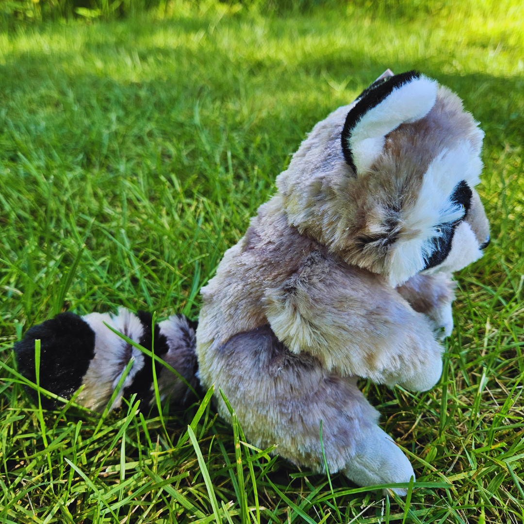 Raccoon Stuffed Animal