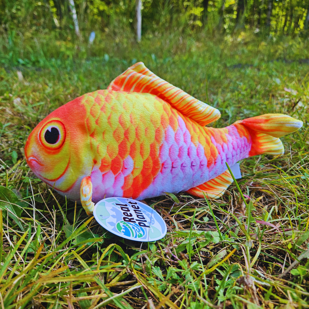 Stuffed Koi Fish