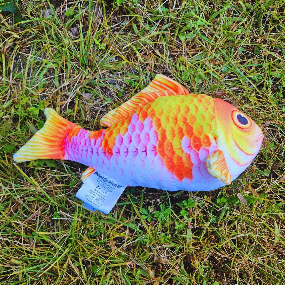 Stuffed Koi Fish