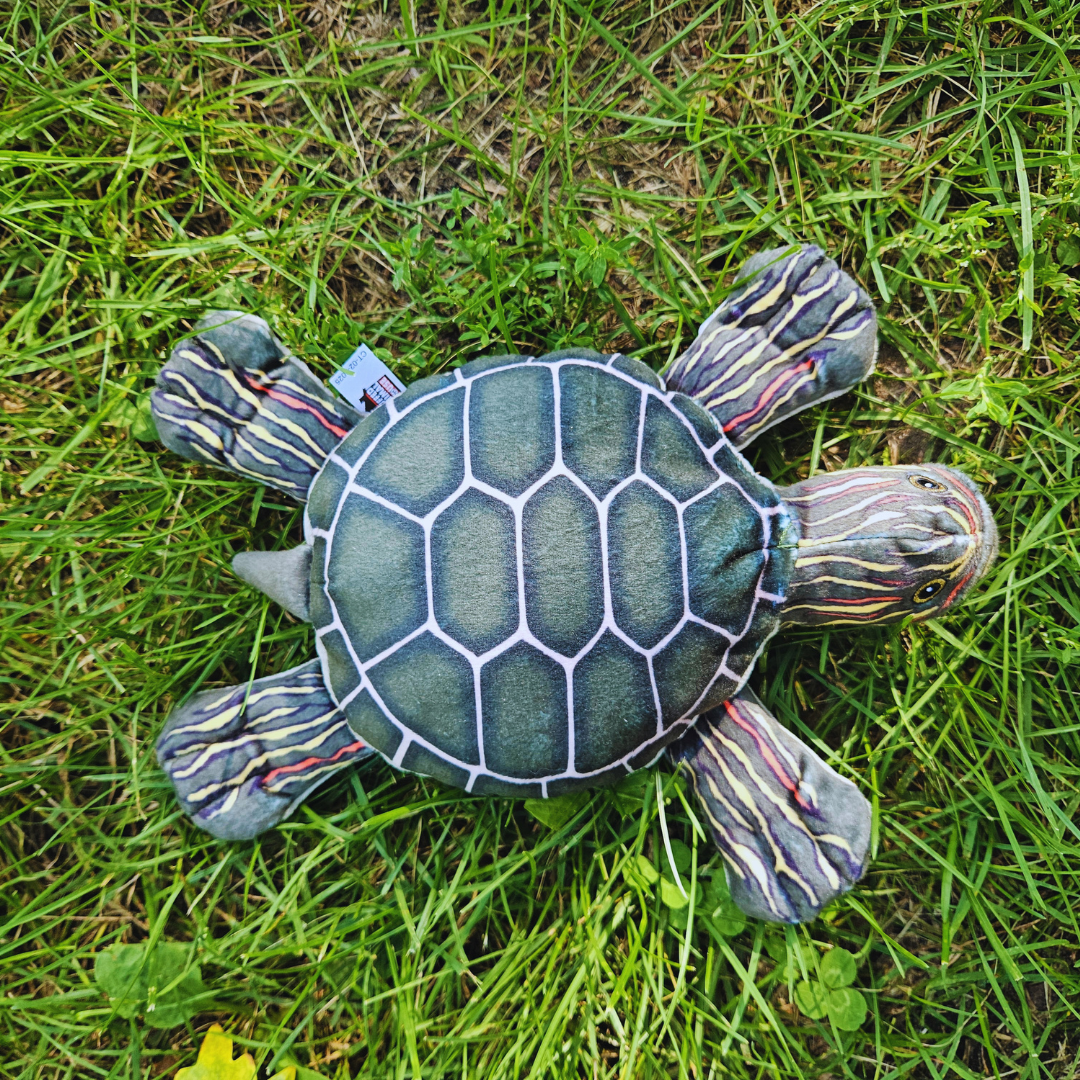 Painted Turtle Stuffed Animal