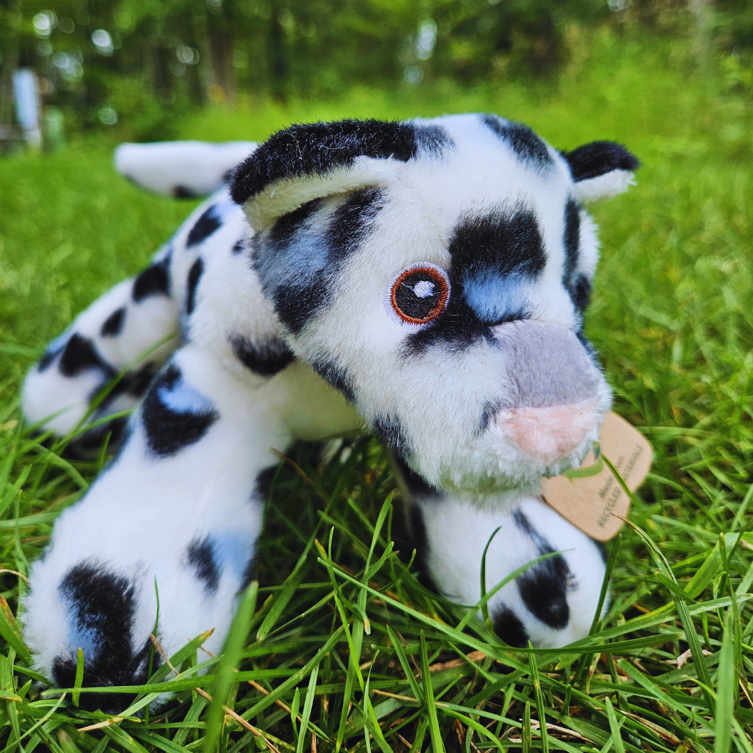 Snow Leopard Stuffed Animal (Small)