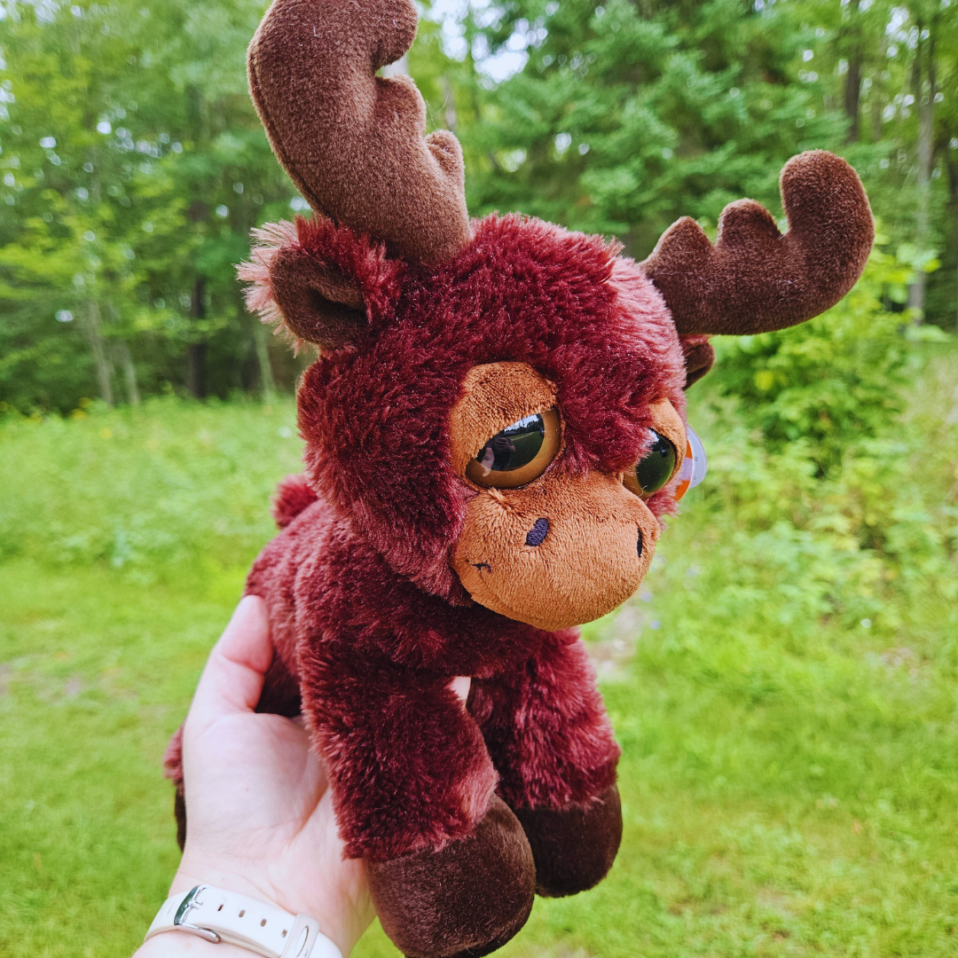 Large Eyes Moose Plush