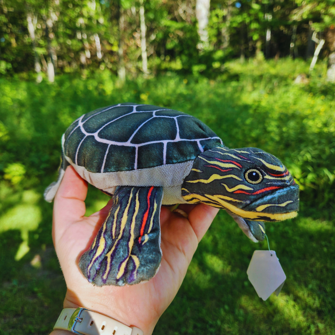 Painted Turtle Stuffed Animal