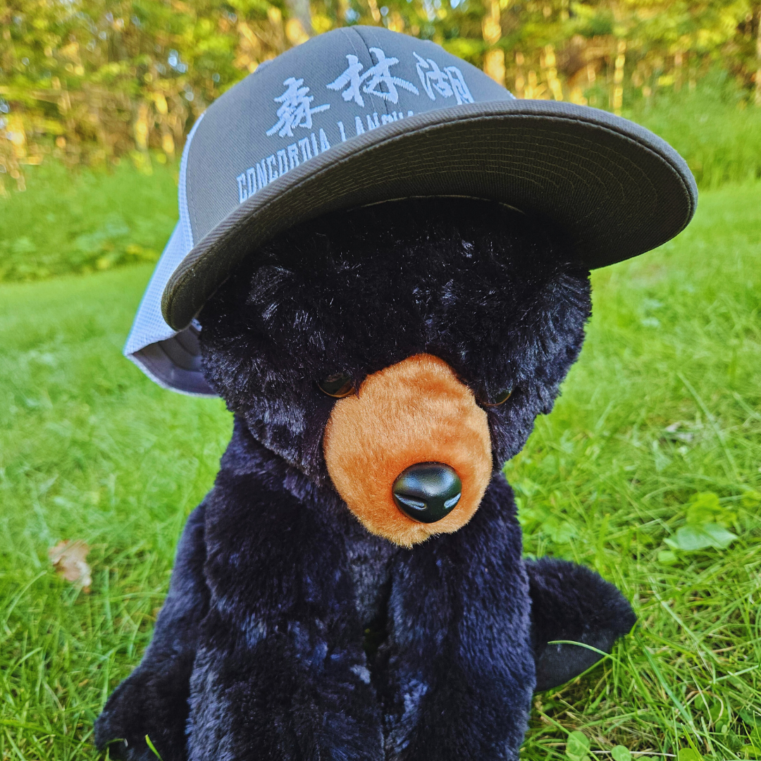 Sēn Lín Hú Hat