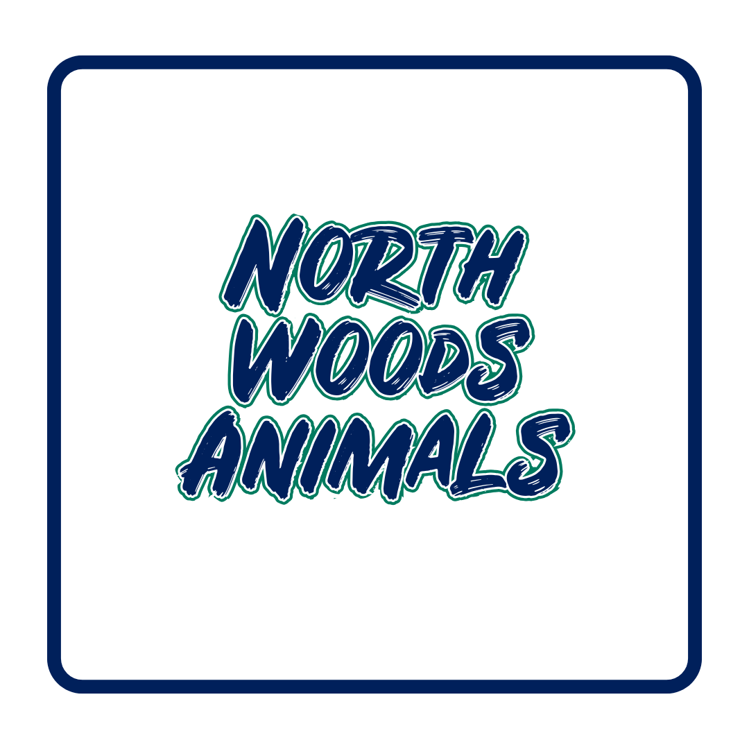 North Woods Animals
