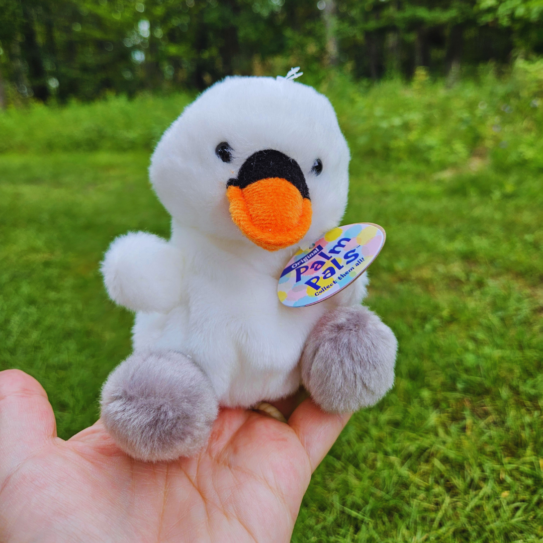 Swan Palm Pal