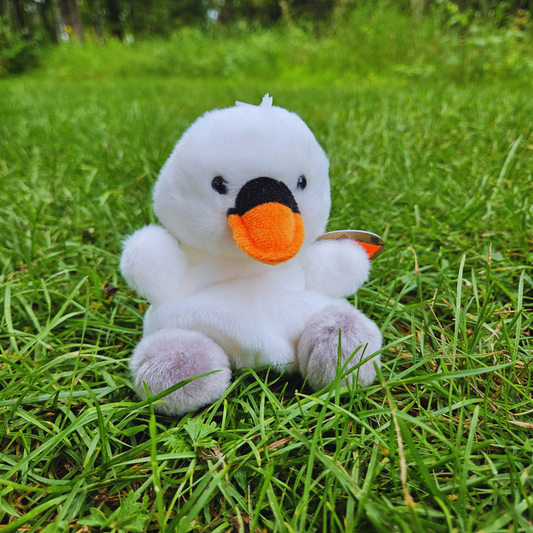 Swan Palm Pal
