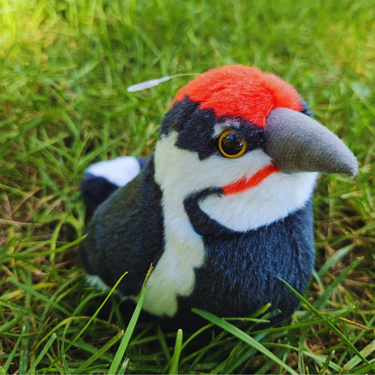 Woodpecker Stuffed Animal