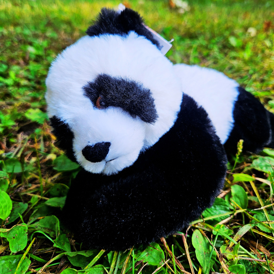 Ecokins Panda Plush
