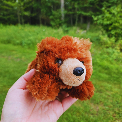 Brown Bear Stuffed Animal