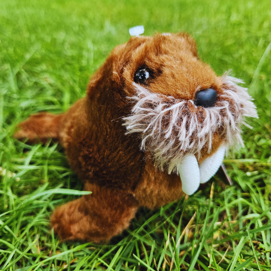 Walrus Stuffed Animal