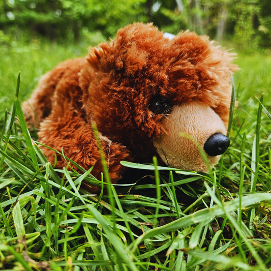 Brown Bear Stuffed Animal