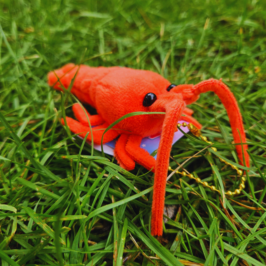 Crayfish Keychain Stuffie