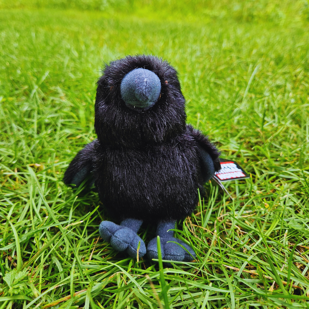 Small Raven Stuffed Animal