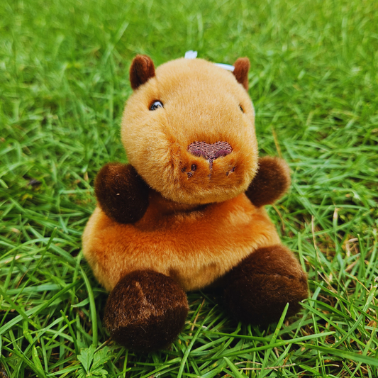Capybara Palm Pal