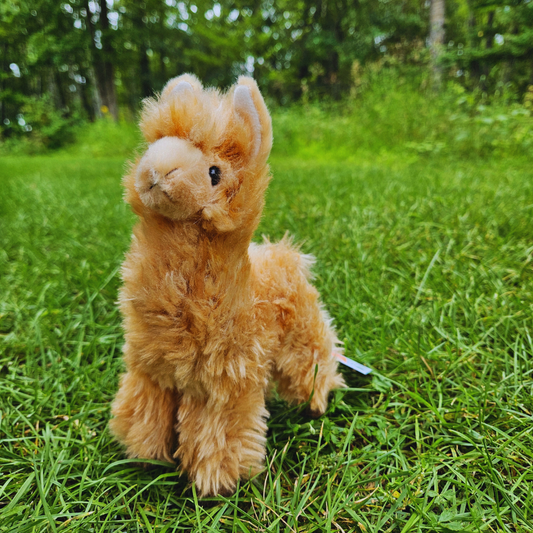 Lexi the Llama Stuffed Animal