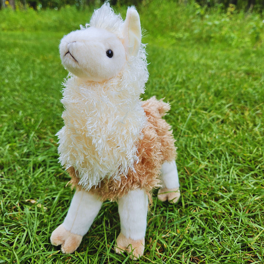 Paddy O'Llama Stuffed Animal