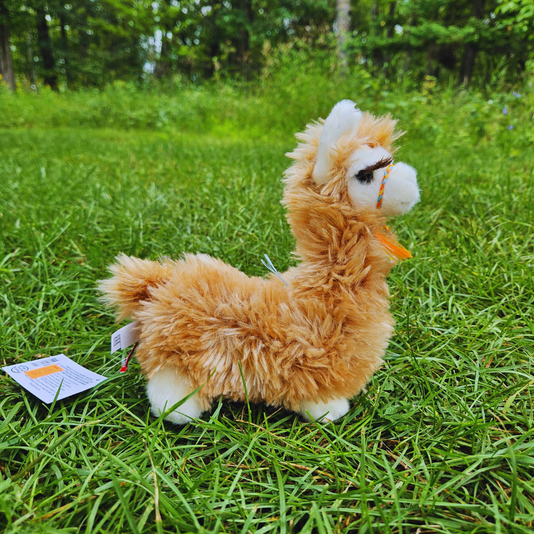 'Lil Wooly Llama Stuffed Animal