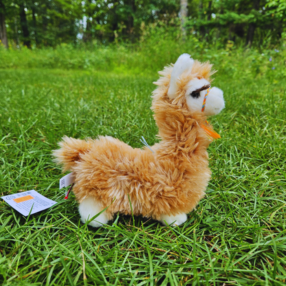 'Lil Wooly Llama Stuffed Animal